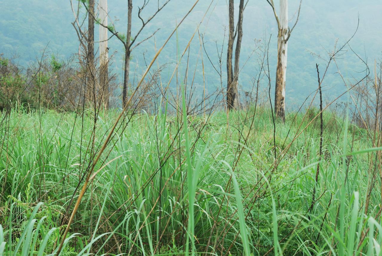 T Cherry Villa Munnar Exterior photo