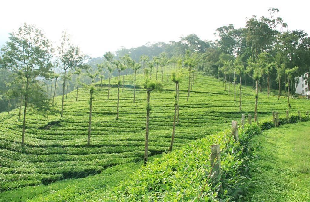 T Cherry Villa Munnar Exterior photo